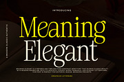 Meaning Elegant - Classic Serif Font, a Serif Font by Lettersiro (Thumbnail 1 of 8)