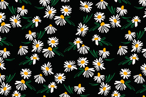 Chamomile. 10 Seamless Patterns