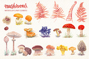 MUSHROOMS WATERCOLOR CLIPART SET, a Food Illustration by Art & Things (Thumbnail 5 of 5)