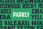 Parkly — Vintage display sans, a Sans Serif Font by SimpleBits® (Thumbnail 4 of 5)
