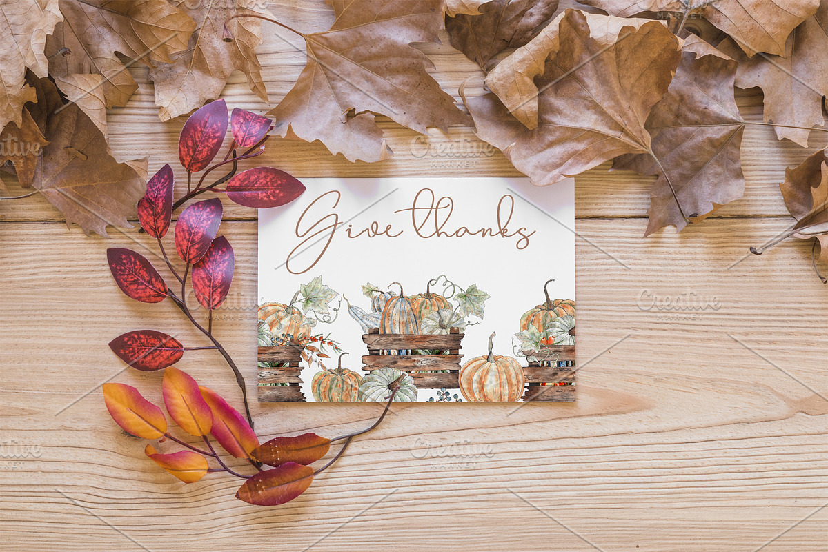 Pumpkins. Watercolor collection, an Object Graphic by Ana-Sakuta (Photo 9 of 17)