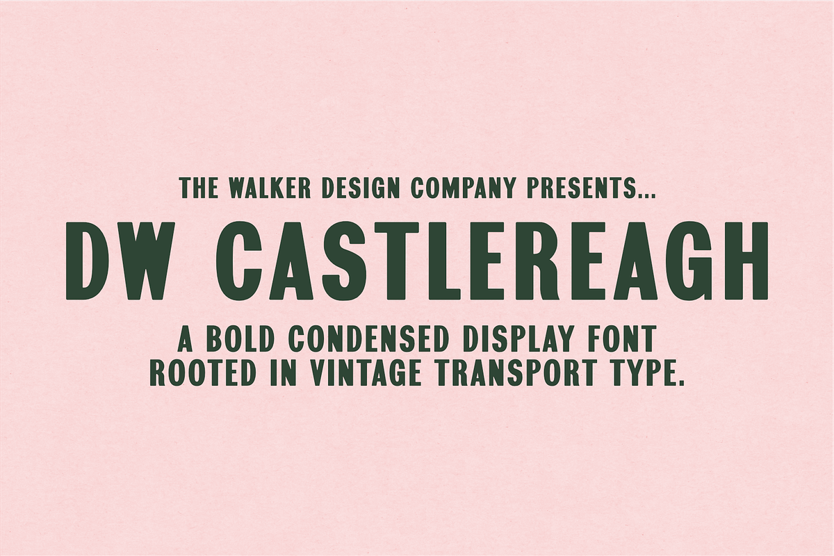 DW Castlereagh - Vintage Font, a Handwritten Font by Walker Design Co. (Photo 1 of 7)