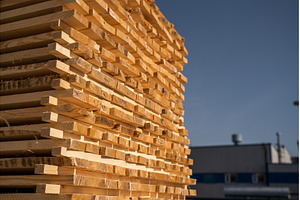 Perspective view of raw timber, an Industrial Photo by volodymyrshtun13795