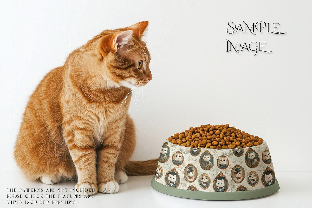 Pet Bowls PNG & PSD Mockups, a Product Mockup by mock-ups (Photo 4 of 12)