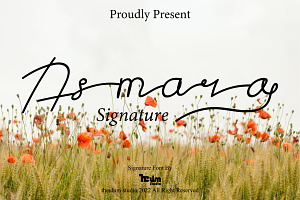 Asmara - Longtail Signature Font