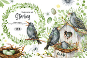 Starling family, spring bird, plants, an Animal Illustration by Artmanata (Thumbnail 1 of 16)