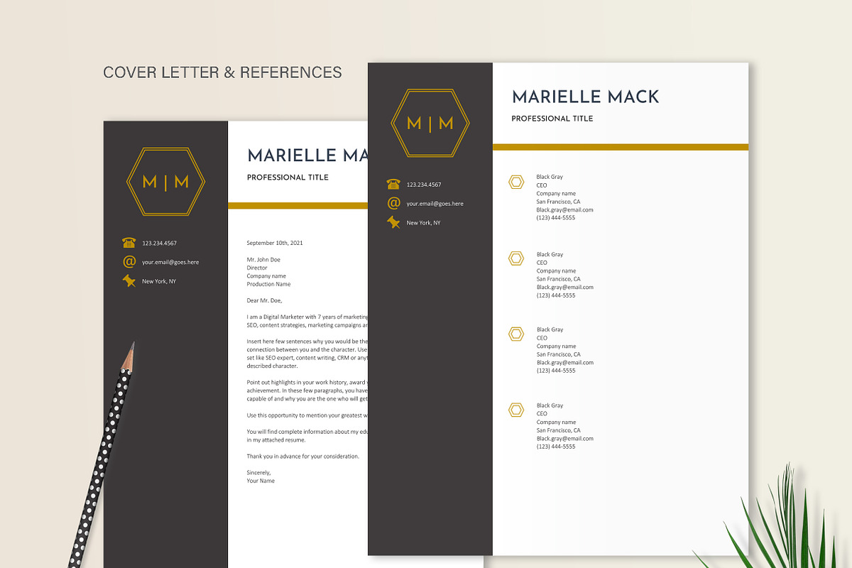 Elegant Resume Template, a Resume Template by Stanin Studio (Photo 4 of 10)
