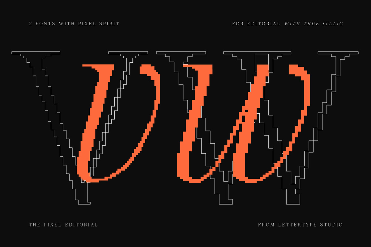 The Pixel Editorial – Modern Serif, a Sans Serif Font by Lettertype Studio (Photo 7 of 15)