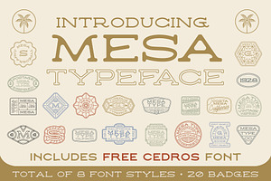Mesa Font Duo, a Serif Font by NienowBrand