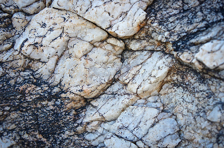 Red Stone Lichen preview 6