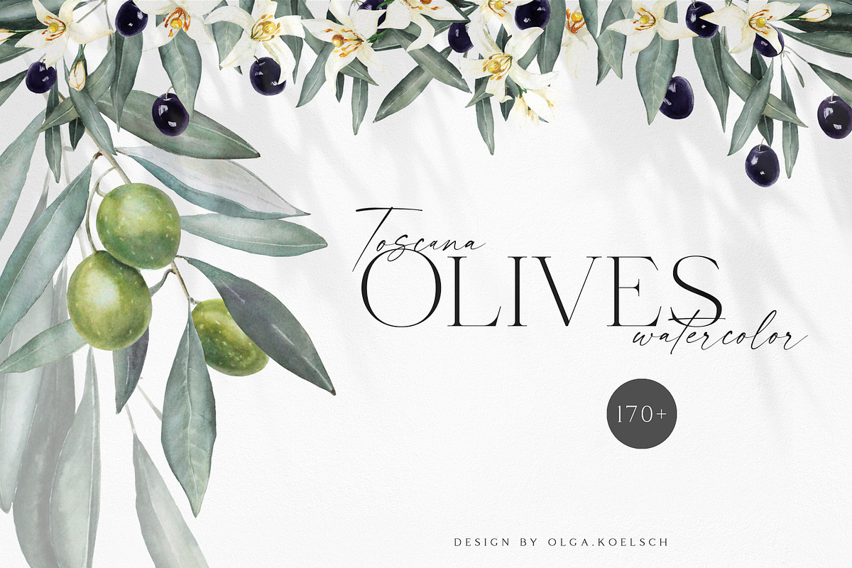 Big Bloom Bundle, an Object Illustration by Olga Koelsch (Photo 3 of 13)