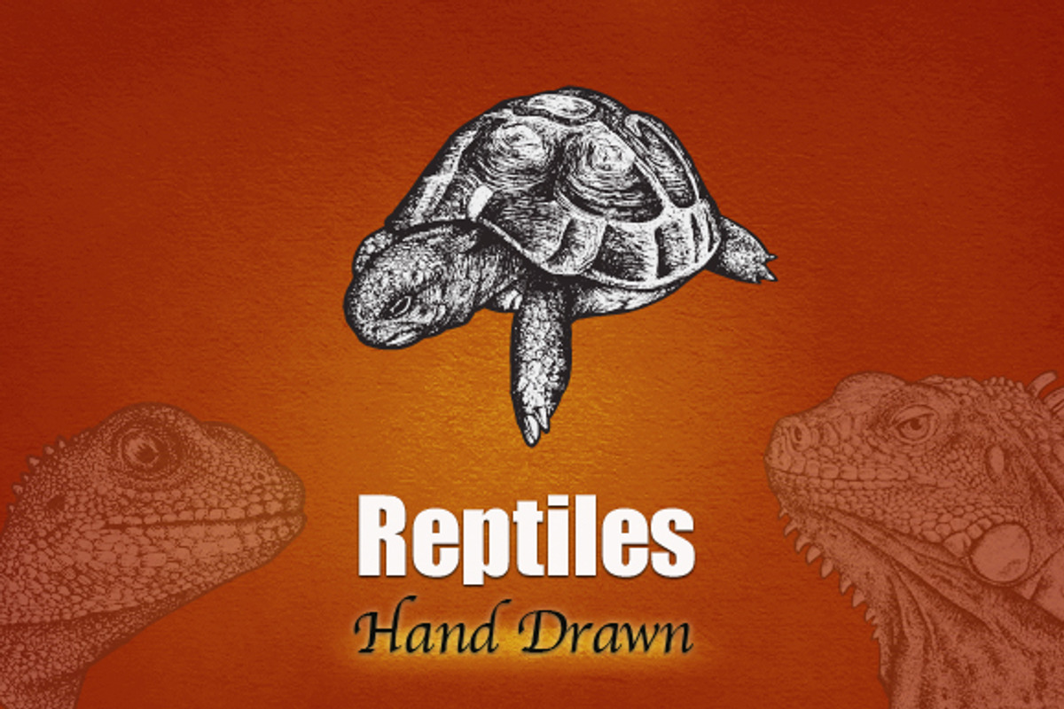 REPTILES - Hand Drawn, an Illustration by BusOne (Photo 2 of 2)