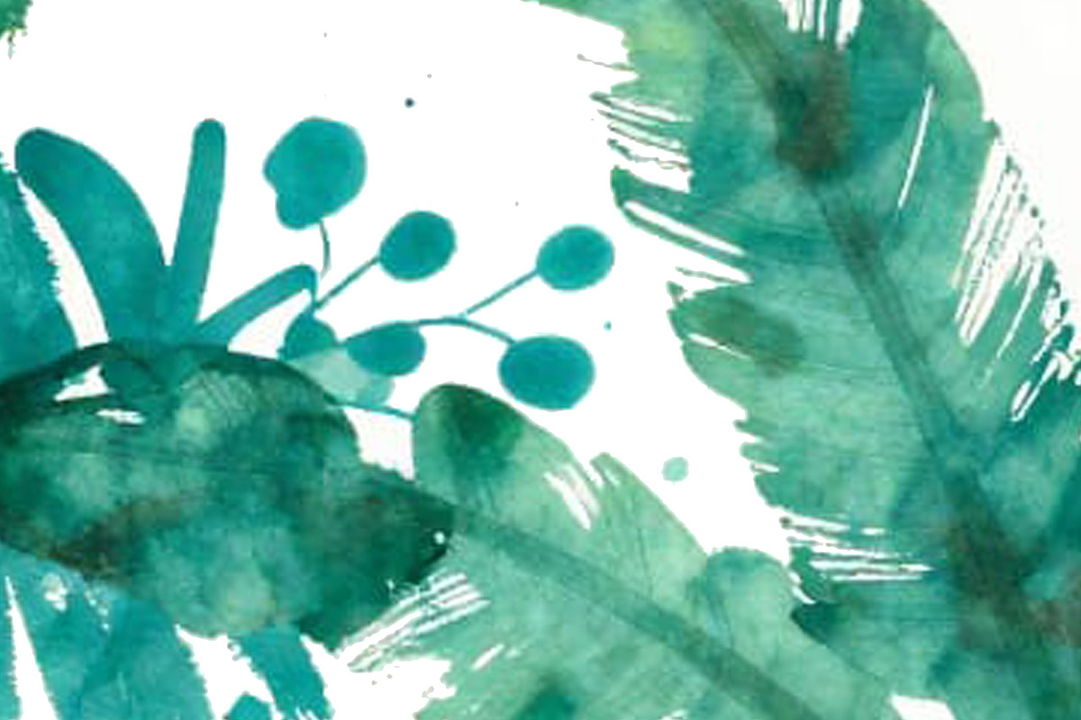 Watercolor Tropical Rain Forest Leav, a Decorative Illustration by Sharon Schwalbe (Photo 2 of 4)