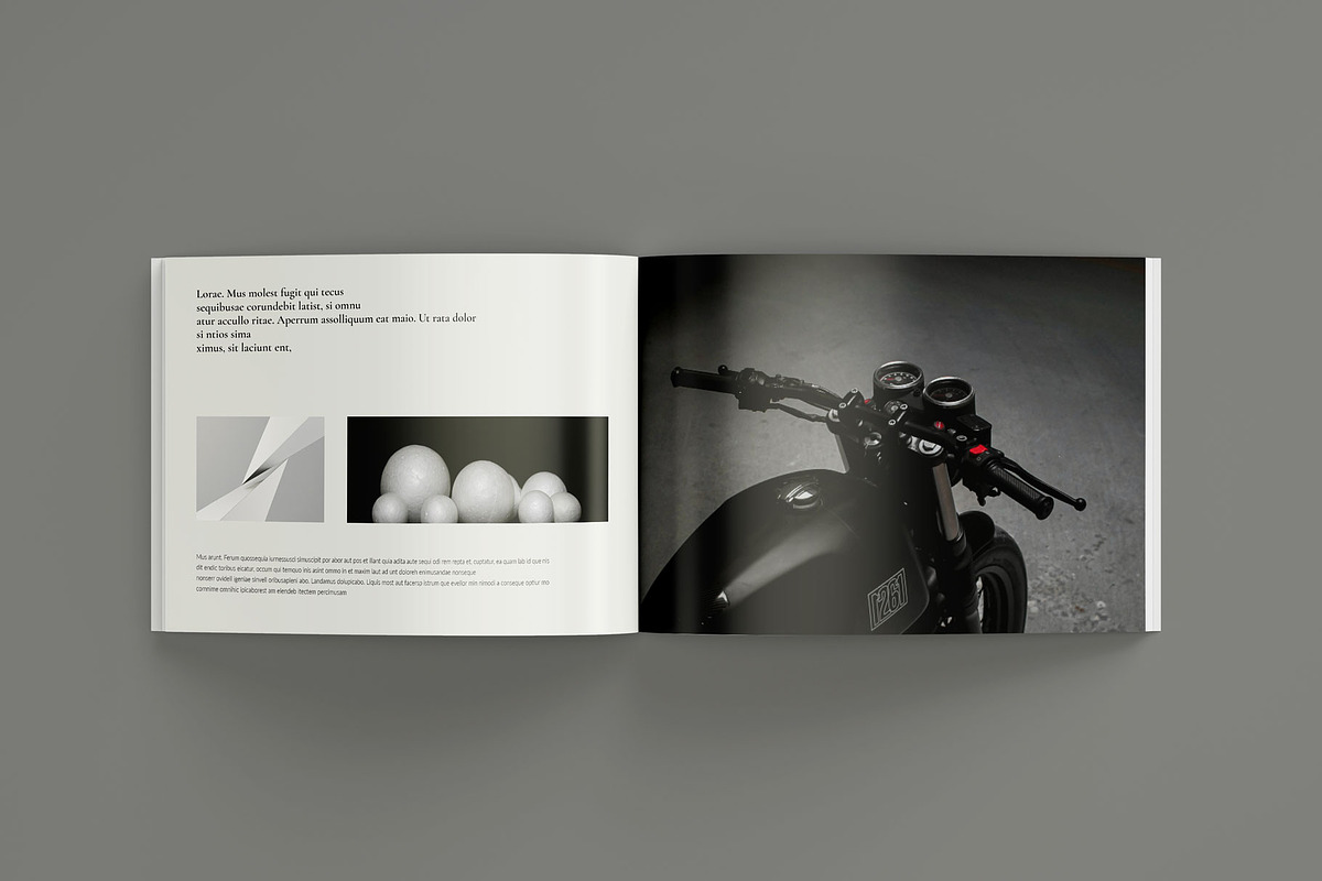 Book Title Landscape Layout, a Brochure Template by Seeing-art (Photo 4 of 13)