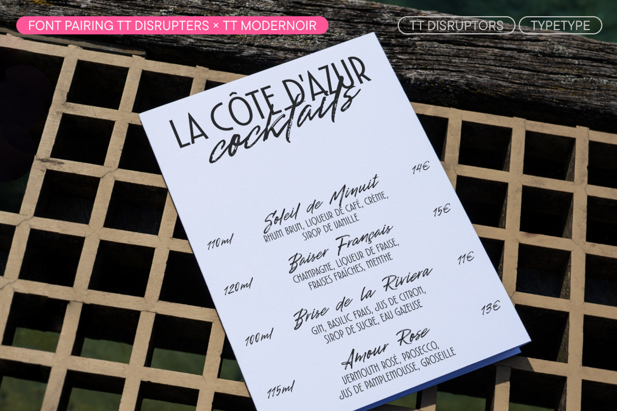 TT Disruptors, a Script Font by TypeType (Photo 9 of 12)