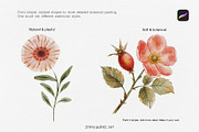 Watercolor Brushes for Procreate, a Brush Add-On by Jenny Quince (Thumbnail 9 of 10)