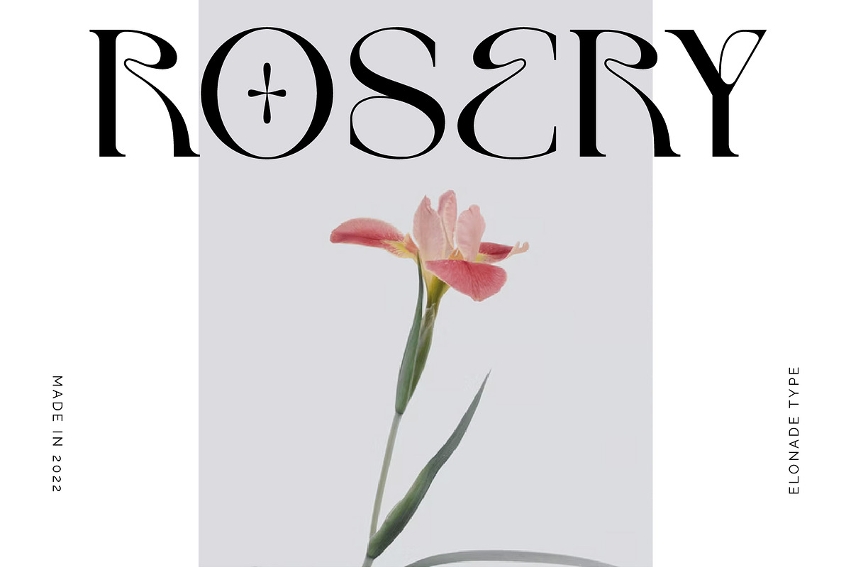 Elonade - Classic Serif Display Font, a Serif Font by Vesvocrea (Photo 8 of 11)