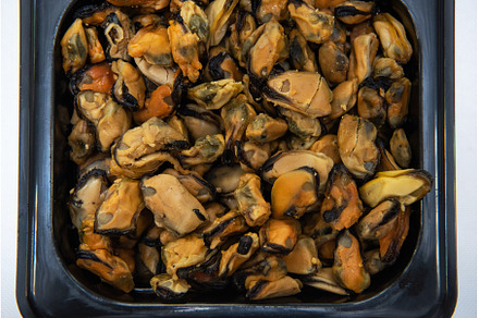Mussels shrimp in plastic container, a Food & Drink Photo by Jan Jack Russo Media