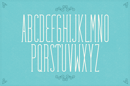 Fabuleuse Slab Font + Free Bonus