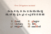 Elegant & Modern Font Bundle | Sale, a Sans Serif Font by Anna Zakharchenko (Thumbnail 34 of 37)