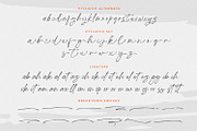 Breaktown - Stylish Brush Font, a Script Font by Pixesia Studio (Thumbnail 12 of 13)
