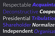 Flinders; Sans Font Family, a Sans Serif Font by Eko Bimantara (Thumbnail 9 of 13)