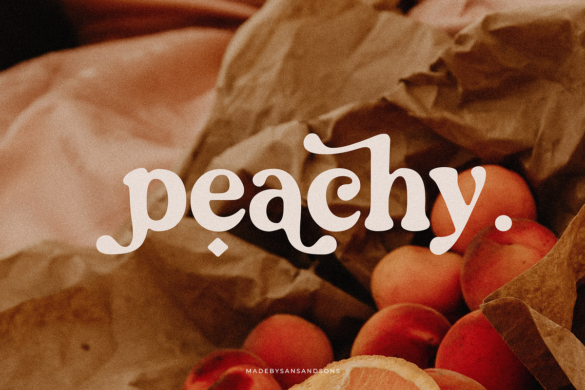 Groovy Fruity - Retro Serif, a Serif Font by Sans & Sons (Photo 8 of 10)