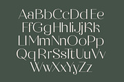 Raslera Modern Serif Display, a Sans Serif Font by timelesstype.co (Thumbnail 13 of 20)