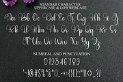 Wonderful Vintage, a Handwritten Font by InermediaSTUDIO (Thumbnail 8 of 8)