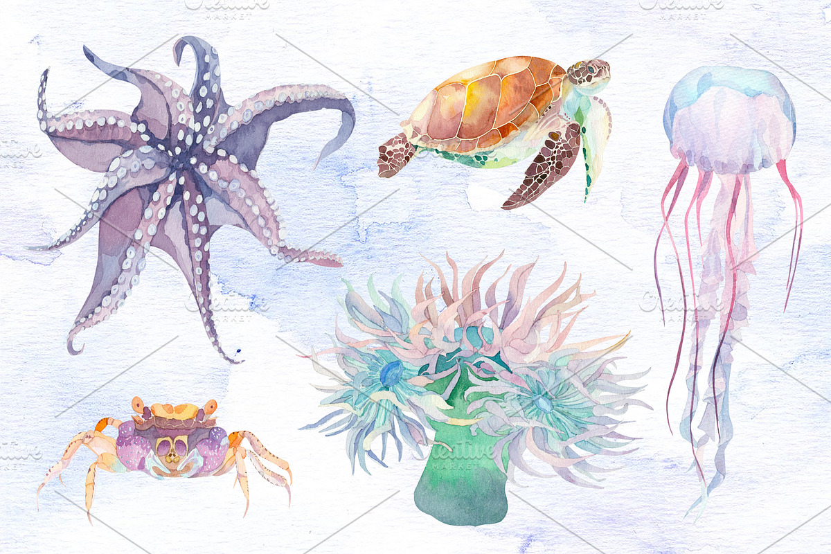 Watercolor set of underwater life, an Animal Illustration by Watercolor arts (Photo 5 of 8)