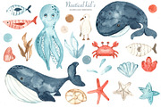 Nautical kids watercolor, a Transportation Illustration by Marina Ermakova (Thumbnail 4 of 12)