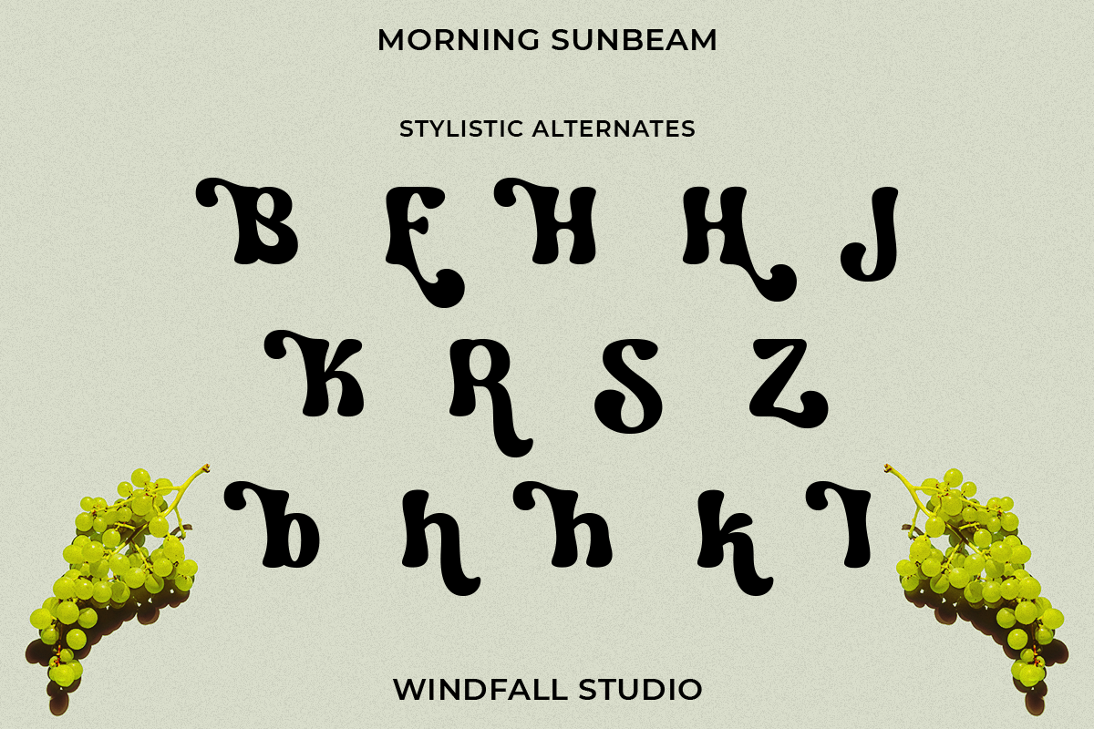 Morning Sunbeam - Retro Bold Font, a Sans Serif Font by Windfall Co (Photo 10 of 10)