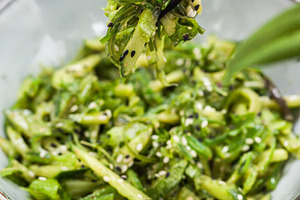 Asian style wakame seaweed salad, a Food & Drink Photo by Kate S