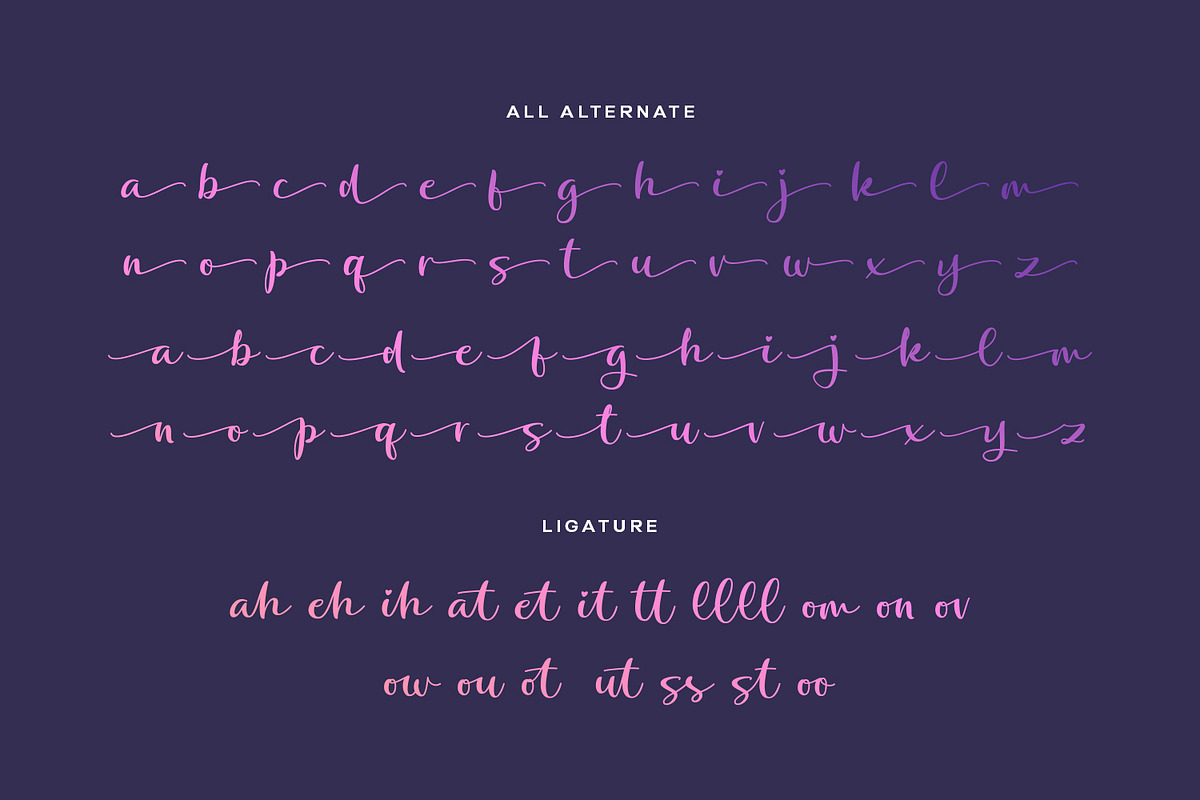 Botigood Script Fonts, a Script Font by Siwox Studios (Photo 7 of 8)