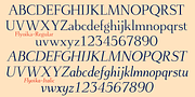 Flyoika, a Slab Serif Font by Ingrimayne Type (Thumbnail 7 of 10)