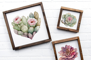 Boho Cactus & Succulent Clipart