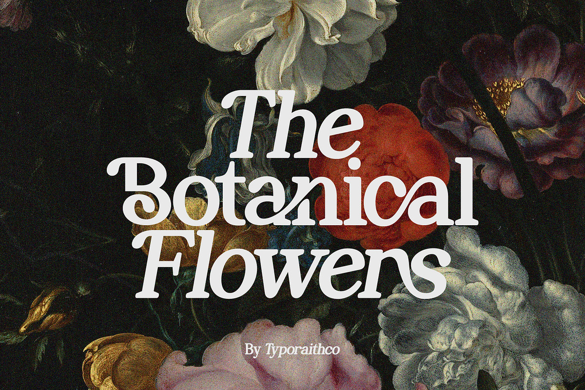 Perfect Mangue | Serif Duo Font, a Serif Font by Typoraith Co (Photo 3 of 10)