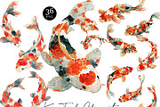 Watercolor Koi Fish Clipart, an Animal Illustration by Design Scotch (Thumbnail 1 of 9)