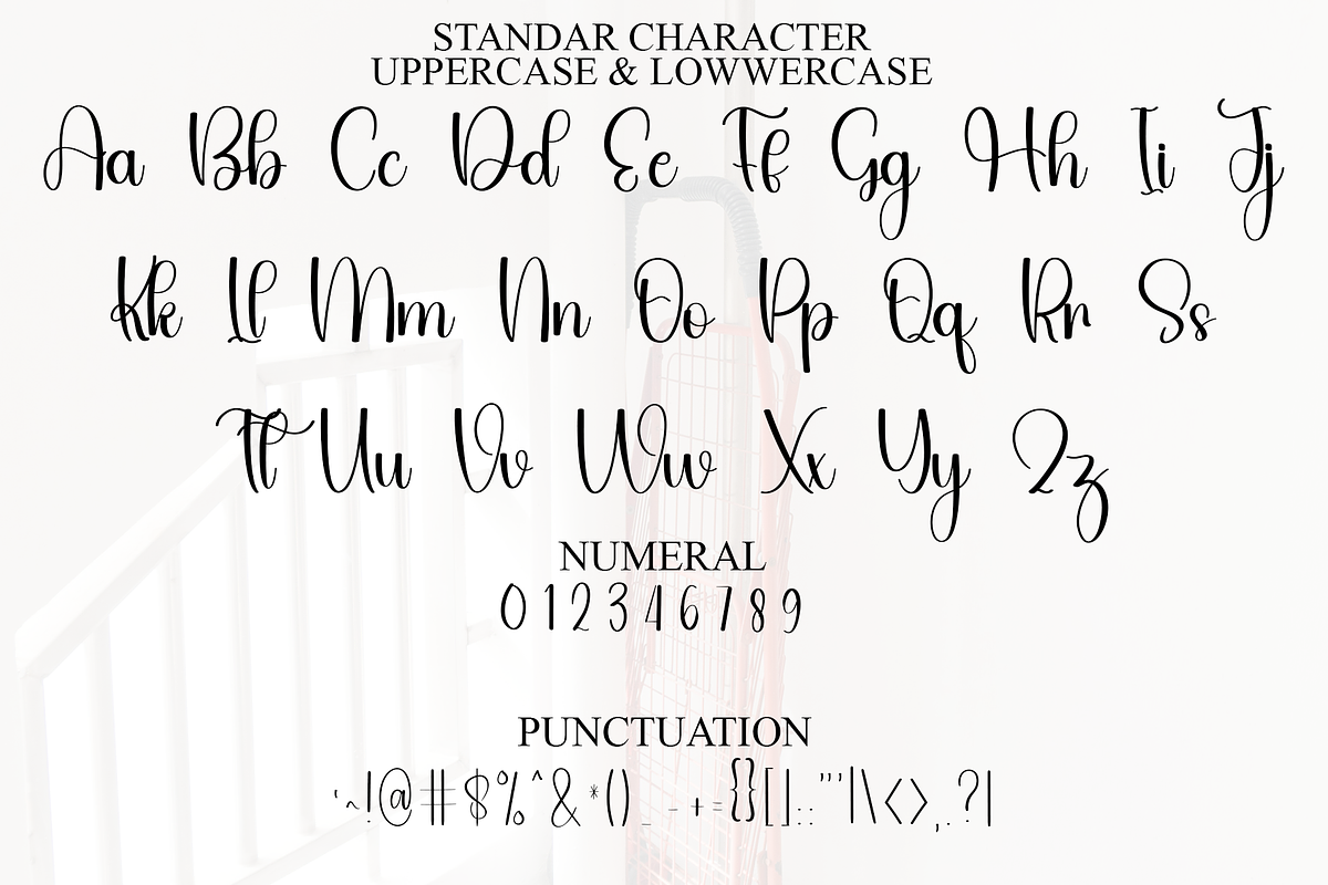 01 Barbie Grandma, a Script Font by FreshTypeINK (Photo 4 of 8)