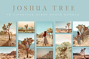 Joshua Tree Desert Wall Art, a Background Photo by Munopia (Thumbnail 2 of 10)