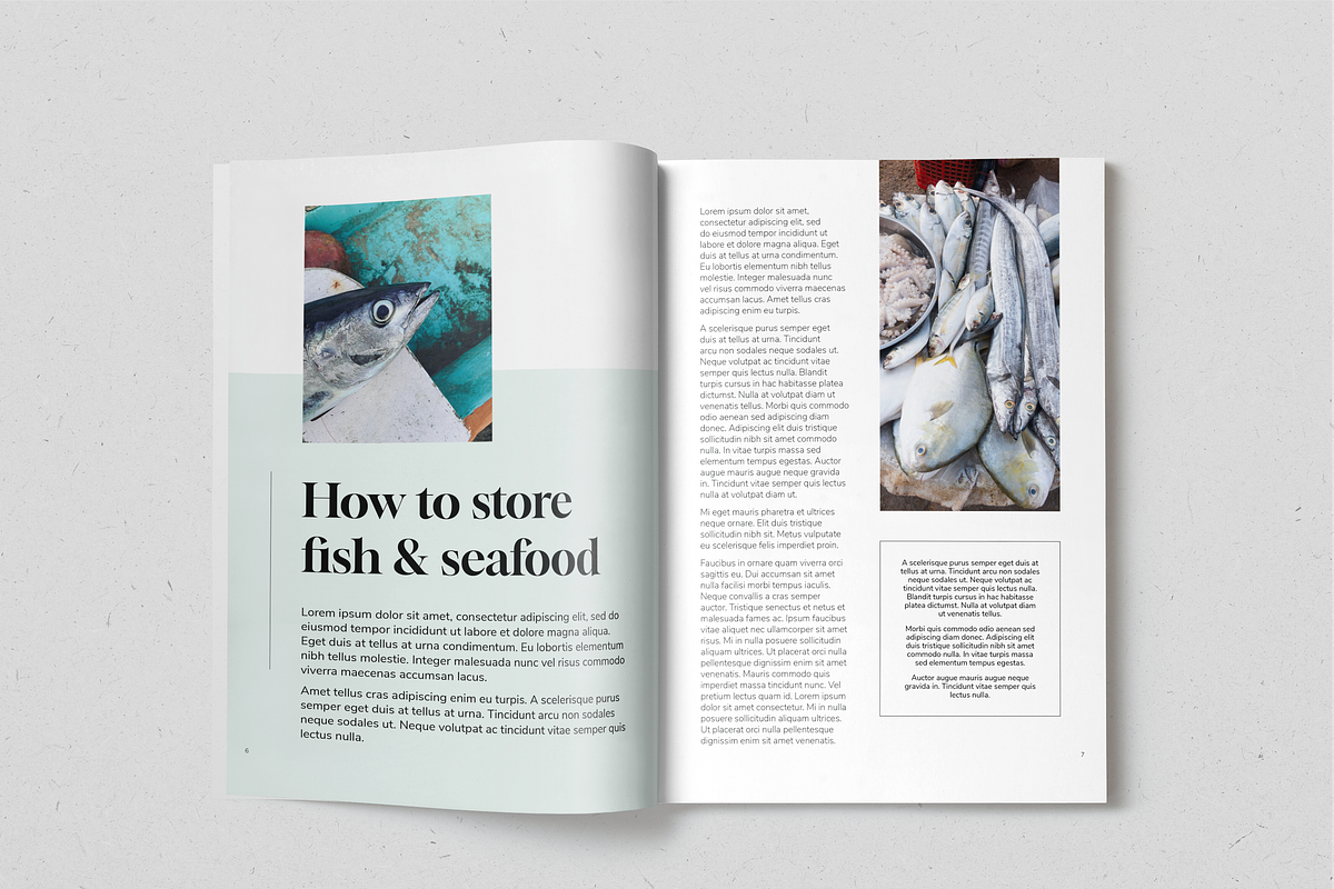 Fish&Seafood Recipe Book, a Magazine Template by SonaGeciova (Photo 4 of 17)
