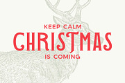 The Christmas Font Duo – Elegant & F, a Font by Headfonts (Thumbnail 3 of 10)