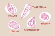 HANDPICKED SEASHELLS | Bouncy Font, a Handwritten Font by type peace (Thumbnail 3 of 11)