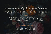 Graceful Nostagia Script Font, a Script Font by Siwox Studios (Thumbnail 8 of 10)
