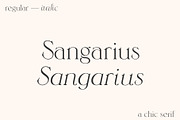 Sangarius // A Chic Serif Typeface, a Serif Font by Megs Lang (Thumbnail 1 of 15)