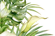 Watercolor tropical arrangements., an Illustration by Mary (Thumbnail 4 of 4)