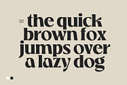 Praya - Modern Branding Font, a Serif Font by creativemedialab (Thumbnail 3 of 17)