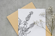 Lavender Clipart Line Art, an Object Graphic by CaraulanStore (Thumbnail 9 of 10)