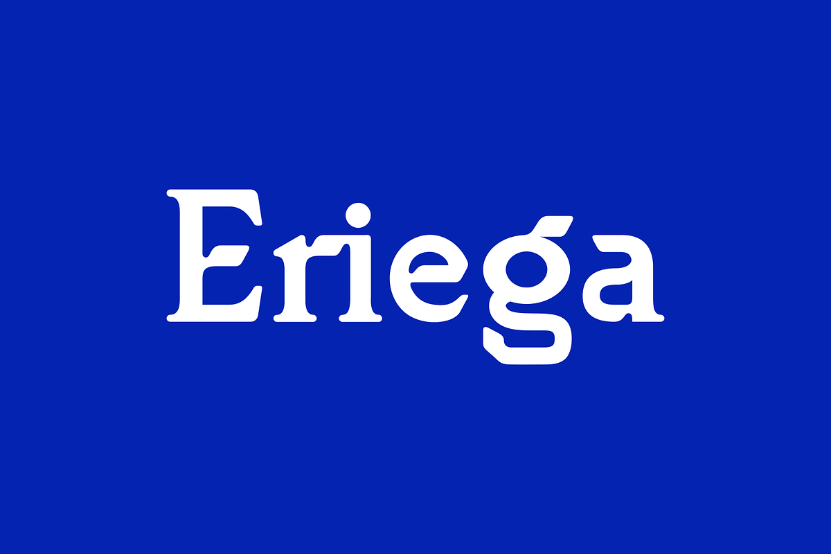 Eriega | Modern Tech Display, a Serif Font by Aluyeah Studio (Photo 16 of 16)