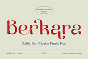 Berkara - Stylish Serif Display, a Serif Font by Pandeka Studio (Thumbnail 1 of 9)